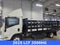 2025 Chevrolet Low Cab Forward 3500 MEDIUM ASH GRAY