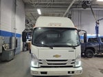 2025 Chevrolet Low Cab Forward 3500 MEDIUM ASH GRAY