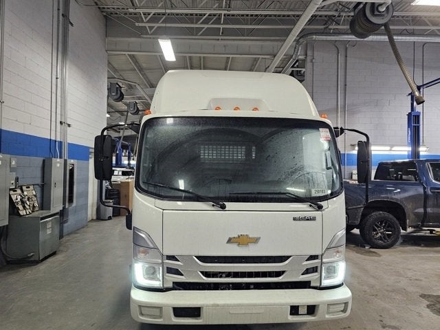 2025 Chevrolet Low Cab Forward 3500 MEDIUM ASH GRAY