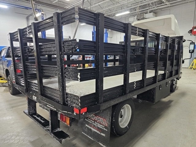 2025 Chevrolet Low Cab Forward 3500 MEDIUM ASH GRAY