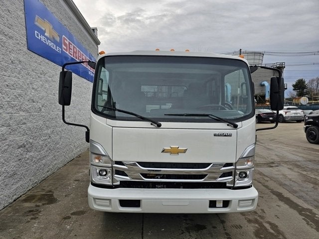 2025 Chevrolet Low Cab Forward 4500 MEDIUM ASH GRAY