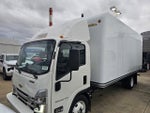 2025 Chevrolet Low Cab Forward 5500 XG MEDIUM ASH GRAY