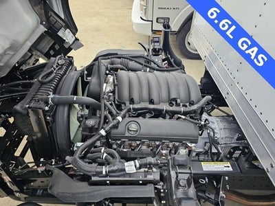 2025 Chevrolet Low Cab Forward 5500 XG Base