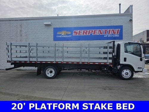 2025 Chevrolet Low Cab Forward 5500 XG MEDIUM ASH GRAY