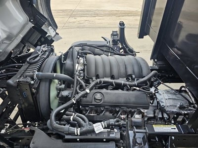 2025 Chevrolet Low Cab Forward 5500 XG MEDIUM ASH GRAY