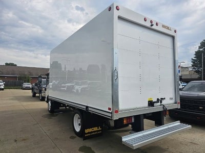 2025 Chevrolet Low Cab Forward 5500 XG MEDIUM ASH GRAY